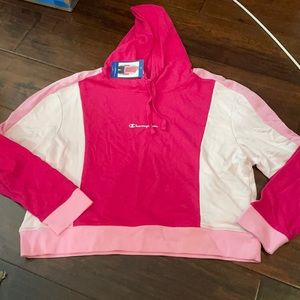 Champion color block slightly cropped hoodie
